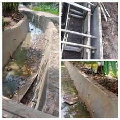 https://www.gardatipikornews.com.adhyaksanews.com/warga-cimande-tarikolot-antusias-gotong-royong-bersihkan-puin-puin-rumah-roboh