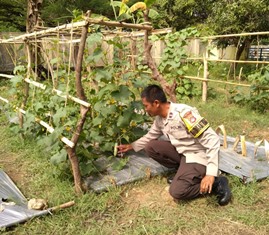 https://www.gardatipikornews.com.adhyaksanews.com/polsek-mataram-sukses-panen-bersama-sayuran-dukung-program-ketahanan-pangan-nasional
