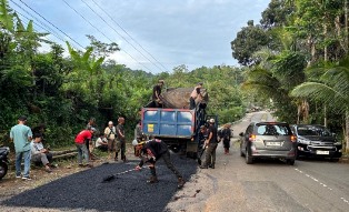 https://www.gardatipikornews.com.adhyaksanews.com/menjelang-lebaran-idul-fitri-jalan-berlubang-di-pajagan-dibikin-licin