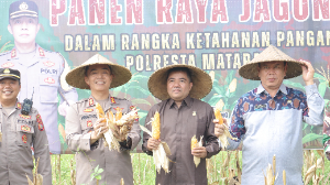 https://www.gardatipikornews.com.adhyaksanews.com/tragis-polsek-ampenan-tanggap-cepat-evakuasi-korban-gantung-diri-di-ampenan