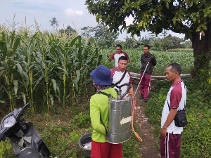 https://www.gardatipikornews.com.adhyaksanews.com/diduga-mencuri-hp-di-conter-box-dua-pria-diamankan-unit-reskrim-polsek-selaparang
