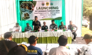 https://www.gardatipikornews.com.adhyaksanews.com/tgb-dan-uas-berbeda-jalan-bertemu-tujuan
