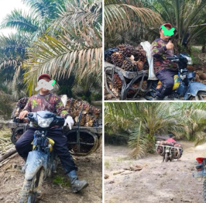https://www.gardatipikornews.com.adhyaksanews.com/ketua-lsm-maung-provinsi-riau-apresiasi-lanal-dumai-dalam-pencegahan-peredaran-narkoba