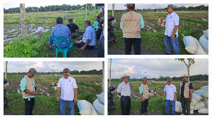 https://www.gardatipikornews.com.adhyaksanews.com/miriswarga-kota-bogor-luput-perhatian-dari-pemerintahnya-ini-selengkapnya
