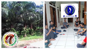 https://www.gardatipikornews.com.adhyaksanews.com/pembayaran-150-unit-tenaga-kerja-program-bsps-digelar-di-kediaman-suyanta-berjalan-lancar