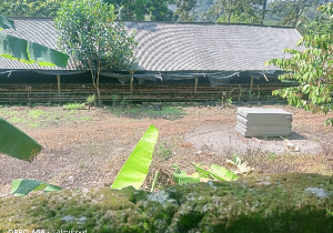 https://www.gardatipikornews.com.adhyaksanews.com/dapur-sppg-di-sukabumi-belum-semua-mengantongi-sertifikat-laik-higienis-sanitasi-slhs