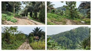 https://www.gardatipikornews.com.adhyaksanews.com/imb-terbitan-pemkot-denpasar-jangan-jadi-stempel-pembenar-pelanggar-sempadan-sungai-gallery-kohinoor