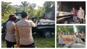 https://www.gardatipikornews.com.adhyaksanews.com/kapolresta-mamataram-kenaikan-pangkat-dan-pelepasan-purna-tugas-penghargaan-atas-dedikasi-dan-pengabdian